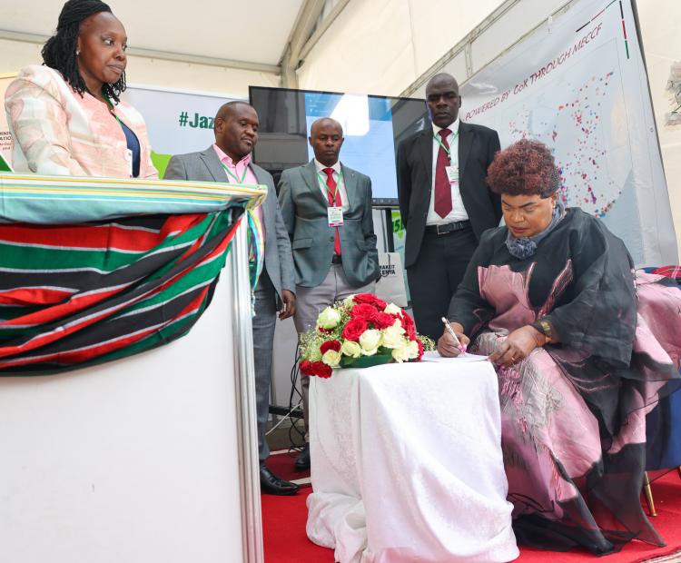 Tour of Innovation Stands, Addis Ababa